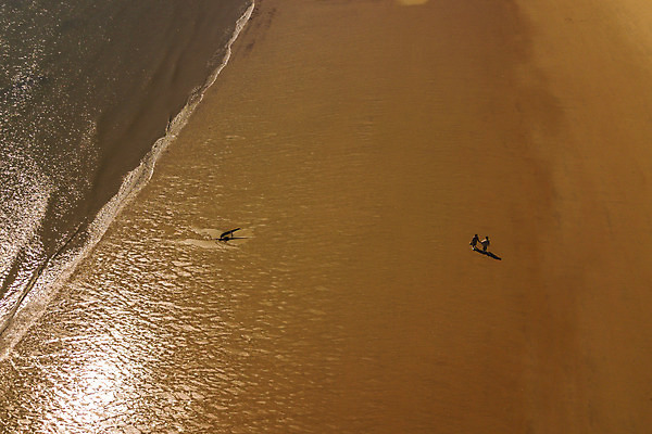 포토 JPG 주간 전신 커플 응시 여자 남자 바다 커플라이프 섬 여행 사람 성인 해변 야외 두명 뒷모습 30대 하이앵글 걷기 손잡기 다정 한국인 인천 성인만 옹진군 국내포토 자연요소 라이프스타일 시선 뷰포인트 컨셉 관계 모션 한국 동양인 장년 파일형식