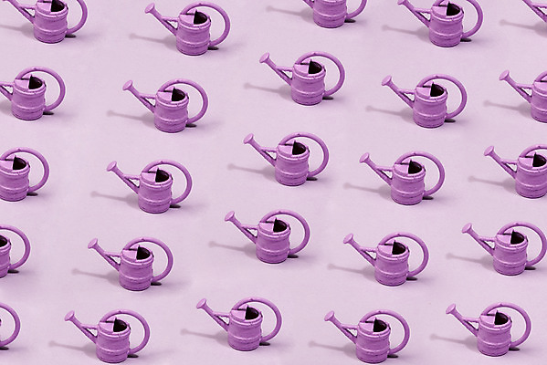 포토 JPG 스튜디오촬영 패턴 생명 실내 누끼 사람없음 보라색 여러개 물뿌리개 오브젝트 보라색배경 국내포토 컬러 다수 백그라운드 무늬 내부 파일형식