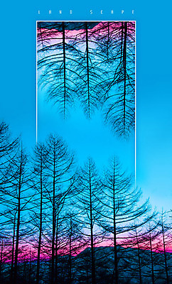 PSD 나무 편집이미지 해외풍경 분홍색 백그라운드 자연 하늘 산 프레임 사람없음 파란색 노을 사각형 경관 이미지편집 자연요소 도형 식물 해외 컬러 풍경 생태계 파일형식