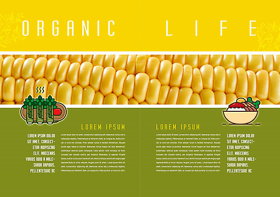 PSD 템플릿 라이프스타일 표지디자인 북디자인 출판디자인 내지 음식 채소 북커버 옥수수 팜플렛 사람없음 라이프 생활 초록색 노란색 유기농 이미지템플릿 웰빙 컬러 곡류 파일형식