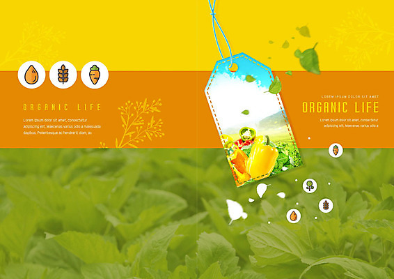 PSD 템플릿 라이프스타일 표지디자인 북디자인 출판디자인 표지 북커버 피망 팜플렛 사람없음 생활 초록색 농장 꼬리표 풀잎 유기농 이미지템플릿 웰빙 컬러 잎 농업 채소 라벨 풀_식물 파일형식