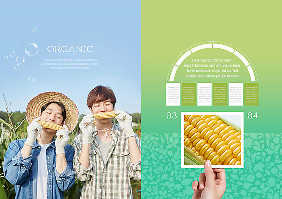 PSD 템플릿 라이프스타일 표지디자인 북디자인 손 출판디자인 남자 내지 북커버 옥수수 들기 사람 팜플렛 20대 성인 두명 생활 신체부위 초록색 한국인 먹기 유기농 민트색 성인남자만 청년농부 이미지템플릿 웰빙 컬러 모션 곡류 동양인 청년 농부 남자만 성인만 파일형식