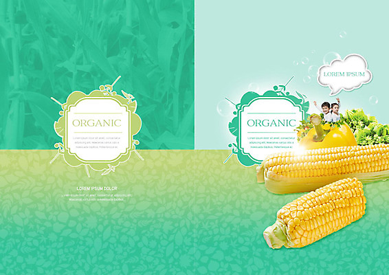 PSD 템플릿 라이프스타일 표지디자인 북디자인 출판디자인 표지 어린이 북커버 피망 옥수수 들기 사람 소녀 소년 팜플렛 두명 생활 한국인 유기농 민트색 어린이만 이미지템플릿 웰빙 여자 남자 컬러 채소 모션 곡류 동양인 파일형식