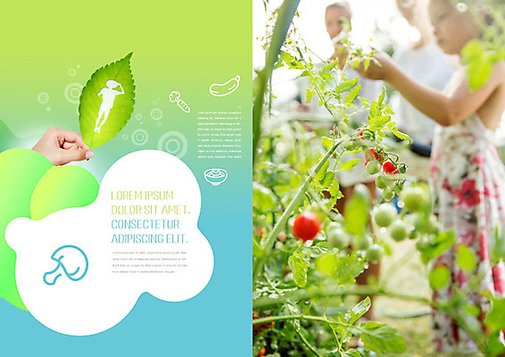 PSD 서양인 외국인 템플릿 라이프스타일 표지디자인 북디자인 손 출판디자인 여자 남자 내지 어린이 토마토 북커버 들기 사람 소녀 팜플렛 여러명 성인 생활 신체부위 초록색 수확 유기농 이미지템플릿 웰빙 컬러 다수 농업 채소 모션 인종 파일형식