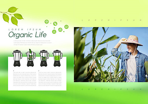 PSD 템플릿 라이프스타일 표지디자인 북디자인 출판디자인 남자 내지 밭 북커버 옥수수 한명 사람 팜플렛 20대 성인 생활 초록색 수확 유기농 성인남자한명만 청년농부 이미지템플릿 1 웰빙 컬러 농업 곡류 청년 농부 남자한명만 성인남자만 파일형식