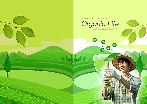 PSD 나무 템플릿 라이프스타일 표지디자인 북디자인 출판디자인 표지 남자 밭 북커버 옥수수 한명 들기 팜플렛 20대 성인 생활 초록색 유기농 성인남자한명만 청년농부 이미지템플릿 식물 1 웰빙 컬러 농업 모션 곡류 사람 청년 농부 남자한명만 성인남자만 파일형식