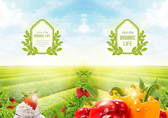 PSD 템플릿 라이프스타일 표지디자인 북디자인 출판디자인 표지 밭 북커버 딸기 피망 팜플렛 사람없음 생활 초록색 신선 유기농 이미지템플릿 웰빙 컬러 농업 채소 과일 파일형식