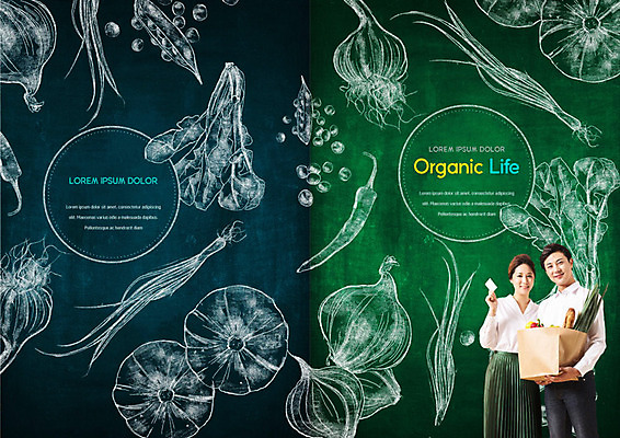 PSD 템플릿 라이프스타일 표지디자인 북디자인 출판디자인 여자 표지 남자 북커버 들기 사람 팜플렛 20대 성인 두명 생활 초록색 신용카드 장바구니 유기농 성인만 이미지템플릿 웰빙 컬러 모션 청년 금융 쇼핑 바구니 파일형식