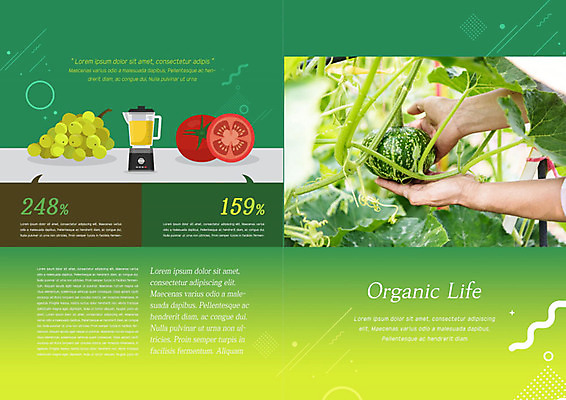 PSD 템플릿 라이프스타일 표지디자인 북디자인 손 출판디자인 내지 밭 채소 북커버 과일 호박 들기 사람 팜플렛 생활 신체부위 초록색 수확 유기농 이미지템플릿 웰빙 컬러 농업 모션 파일형식
