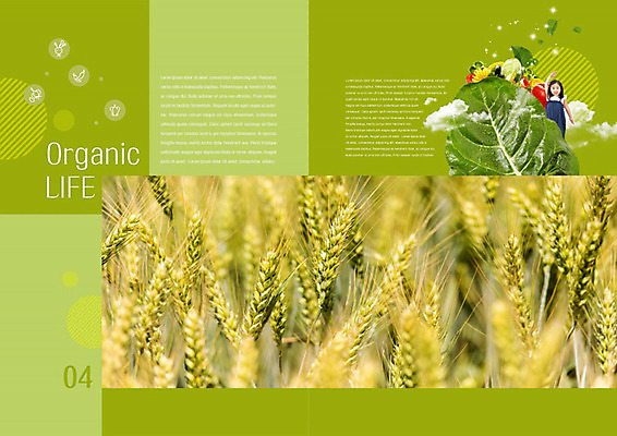 PSD 템플릿 라이프스타일 표지디자인 북디자인 출판디자인 내지 어린이 채소 북커버 한손 한명 사람 소녀 팜플렛 생활 초록색 노란색 손들기 한국인 벼 유기농 소녀한명만 이미지템플릿 1 손 웰빙 여자 컬러 모션 곡류 동양인 여자한명만 소녀만 파일형식