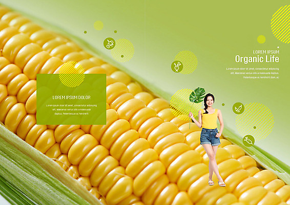 PSD 템플릿 라이프스타일 표지디자인 북디자인 출판디자인 여자 표지 북커버 옥수수 한명 서기 팜플렛 20대 성인 생활 초록색 노란색 한국인 유기농 성인여자한명만 이미지템플릿 1 웰빙 컬러 모션 곡류 사람 동양인 청년 여자한명만 성인여자만 파일형식