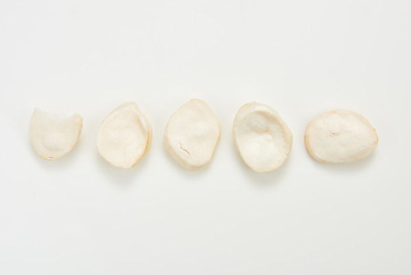 포토 JPG 스튜디오촬영 백그라운드 디저트 실내 누끼 사람없음 하이앵글 과자 흰색 추억 흰배경 복고 뻥튀기 전통과자 플랫레이 생과자 떡뻥튀기 국내포토 음식 뷰포인트 컬러 컨셉 내부 플랫 파일형식