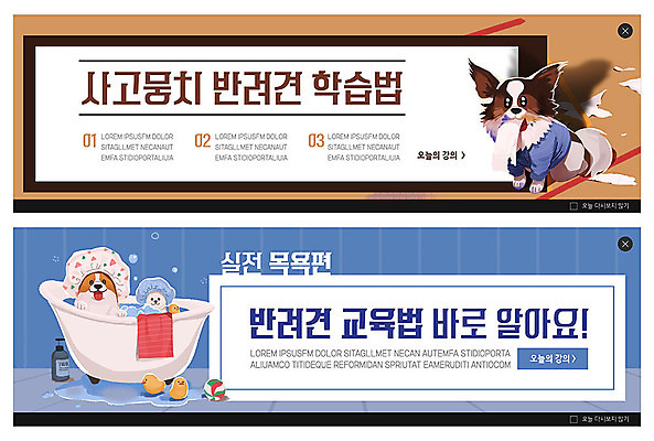 PSD 템플릿 배너 교육 ZIP 반려견 웹템플릿 장난 욕조 세마리 이벤트 사람없음 파란색 반려동물 갈색 목욕 강아지 반려 이벤트배너 웹배너 빅배너 이미지템플릿 동물 컬러 3 청결 개 파일형식