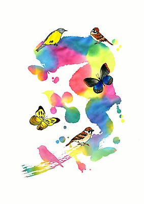 PSD 실루엣 나비 여러마리 일러스트 조류 붓터치 수채화 사람없음 컬러풀 물감 번짐 참새 국내일러스트 동물 컬러 다수 곤충 촬영기법 미술도구 파일형식 효과