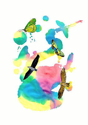 PSD 실루엣 나비 여러마리 일러스트 조류 붓터치 수채화 사람없음 컬러풀 물감 독수리 번짐 국내일러스트 동물 컬러 다수 곤충 촬영기법 미술도구 파일형식 효과