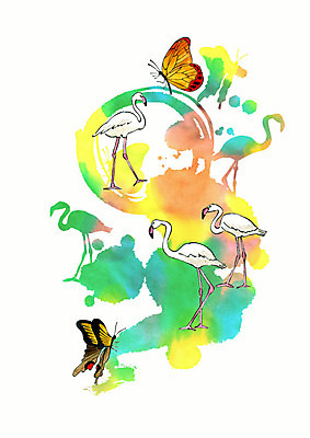 PSD 실루엣 나비 여러마리 일러스트 조류 붓터치 수채화 사람없음 컬러풀 물감 번짐 국내일러스트 동물 컬러 다수 곤충 촬영기법 미술도구 파일형식 효과