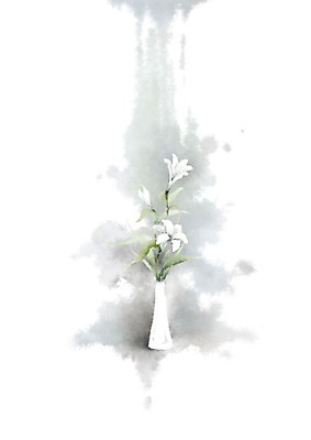 PSD 식물 꽃잎 잎 일러스트 캘리그라피 붓터치 흑백 사람없음 꽃병 백합 번짐 꽃가지 정물화 국내일러스트 꽃 촬영기법 나뭇가지 그림 파일형식 효과