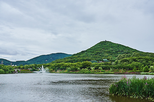 포토 JPG 주간 식물 구름 호수 자연 하늘 날씨 산 풍경 사람없음 야외 환경 장마 흐림 호수공원 국내포토 자연요소 공원 비_날씨 생태계 파일형식