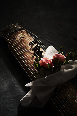 포토 JPG 스튜디오촬영 한국전통 꽃 검은배경 실내 국악기 국악 사람없음 오브젝트 아쟁 국내포토 식물 전통 악기 음악 백그라운드 현악기 한국 내부 검은색 파일형식