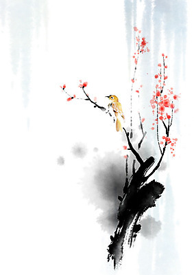 PSD 나무 식물 동물 한마리 꽃 일러스트 캘리그라피 자연 조류 붓터치 풍경 사람없음 컬러풀 번짐 참새 풍경화 국내일러스트 1 컬러 그림 생태계 파일형식 효과