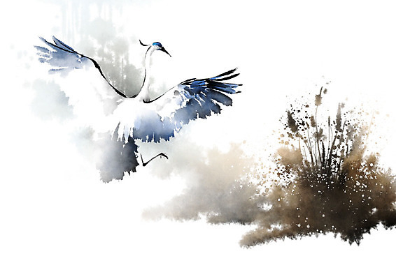 PSD 식물 동물 한마리 꽃 일러스트 캘리그라피 자연 붓터치 갈대 풍경 사람없음 컬러풀 왜가리 번짐 풍경화 국내일러스트 1 컬러 조류 그림 생태계 파일형식 효과