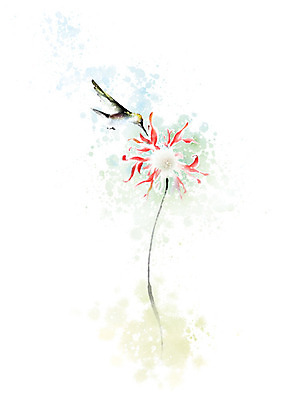 PSD 식물 동물 한마리 꽃 줄기 일러스트 캘리그라피 자연 붓터치 풍경 사람없음 컬러풀 번짐 벌새 풍경화 국내일러스트 1 컬러 그림 생태계 파일형식 효과