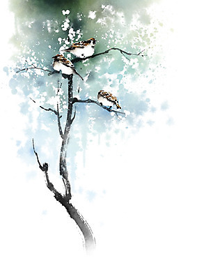 PSD 나무 식물 동물 꽃 일러스트 캘리그라피 자연 조류 붓터치 세마리 풍경 사람없음 컬러풀 나뭇가지 번짐 참새 풍경화 국내일러스트 컬러 3 그림 생태계 파일형식 효과