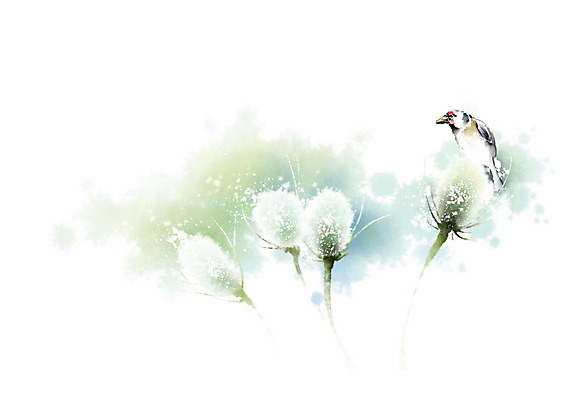 PSD 식물 동물 한마리 꽃 일러스트 캘리그라피 자연 조류 붓터치 풍경 사람없음 컬러풀 번짐 풍경화 국내일러스트 1 컬러 그림 생태계 파일형식 효과