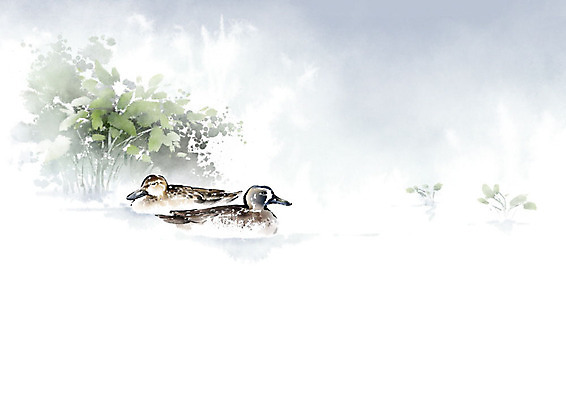 PSD 식물 동물 꽃 두마리 일러스트 캘리그라피 자연 붓터치 풍경 사람없음 컬러풀 원앙 번짐 풍경화 국내일러스트 컬러 2 조류 그림 생태계 파일형식 효과