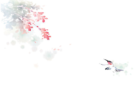 PSD 식물 동물 한마리 꽃 일러스트 캘리그라피 자연 조류 붓터치 풍경 사람없음 컬러풀 번짐 벌새 풍경화 국내일러스트 1 컬러 그림 생태계 파일형식 효과