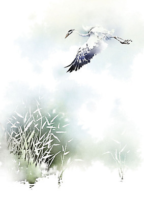 PSD 식물 동물 한마리 꽃 일러스트 캘리그라피 자연 조류 붓터치 갈대 풍경 사람없음 컬러풀 왜가리 번짐 풍경화 국내일러스트 1 컬러 그림 생태계 파일형식 효과