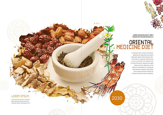 PSD 템플릿 표지디자인 북디자인 출판디자인 꽃 내지 다이어트 북커버 건강 팜플렛 사람없음 건강관리 한의학 약재 한약재 산삼 인삼 한약 대추 절구 이미지템플릿 식물 의학 관리 약 도구 삼 파일형식