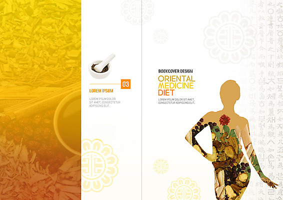 PSD 식물 템플릿 표지디자인 북디자인 출판디자인 열매 표지 실루엣 다이어트 북커버 건강 팜플렛 사람없음 건강관리 주황색 한의학 약재 한약재 한약 절구 이미지템플릿 컬러 의학 촬영기법 관리 약 도구 파일형식