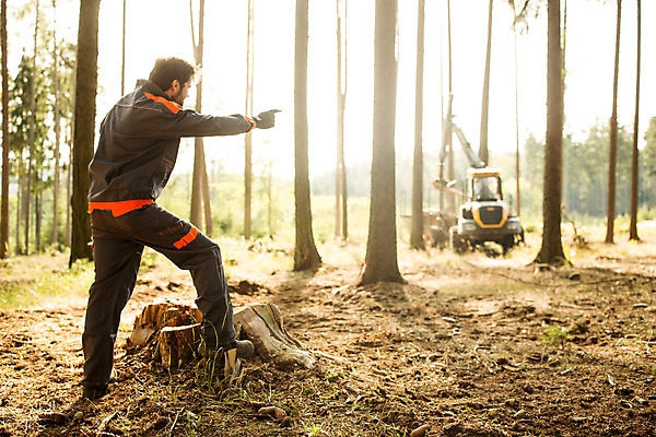 포토 JPG 주간 전신 서양인 외국인 나무 남자 한명 서기 사람 성인 야외 뒷모습 30대 검지손가락 가리킴 숲 포크레인 체코 벌목 벌목작업 임업 성인남자한명만 국내포토 자연요소 식물 1 유럽 산업 뷰포인트 손가락 모션 인종 손짓 장년 중장비 남자한명만 성인남자만 파일형식