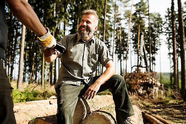 포토 JPG 주간 서양인 나무 응시 남자 40대 중년 장갑 서기 미소 사람 앉기 상반신 20대 성인 야외 두명 앞모습 뒷모습 숲 포크레인 체코 벌목 벌목작업 임업 성인남자만 국내포토 자연요소 외국인 식물 시선 잡화 유럽 산업 뷰포인트 모션 표정 청년 중장비 남자만 성인만 파일형식