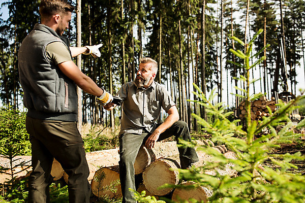 포토 JPG 주간 서양인 나무 응시 남자 40대 중년 장갑 서기 미소 사람 앉기 상반신 20대 성인 야외 두명 앞모습 옆모습 뒷모습 가리킴 숲 포크레인 체코 벌목 벌목작업 임업 성인남자만 국내포토 자연요소 외국인 식물 시선 잡화 유럽 산업 뷰포인트 모션 표정 손짓 청년 중장비 남자만 성인만 파일형식