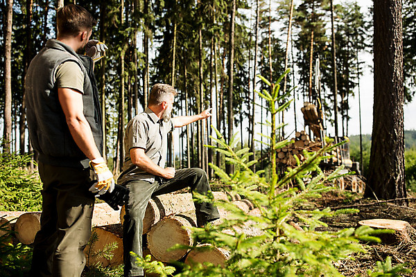포토 JPG 주간 서양인 나무 응시 남자 40대 중년 장갑 서기 미소 사람 앉기 상반신 20대 성인 야외 두명 앞모습 옆모습 뒷모습 가리킴 숲 포크레인 체코 벌목 벌목작업 임업 성인남자만 국내포토 자연요소 외국인 식물 시선 잡화 유럽 산업 뷰포인트 모션 표정 손짓 청년 중장비 남자만 성인만 파일형식