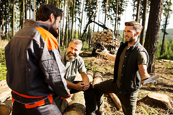 포토 JPG 주간 전신 서양인 나무 응시 남자 40대 중년 대화 서기 미소 사람 앉기 손짓 상반신 20대 성인 야외 옆모습 세명 30대 숲 체코 벌목 벌목작업 임업 성인남자만 국내포토 자연요소 외국인 식물 시선 유럽 산업 뷰포인트 모션 표정 말하기 청년 장년 남자만 성인만 파일형식