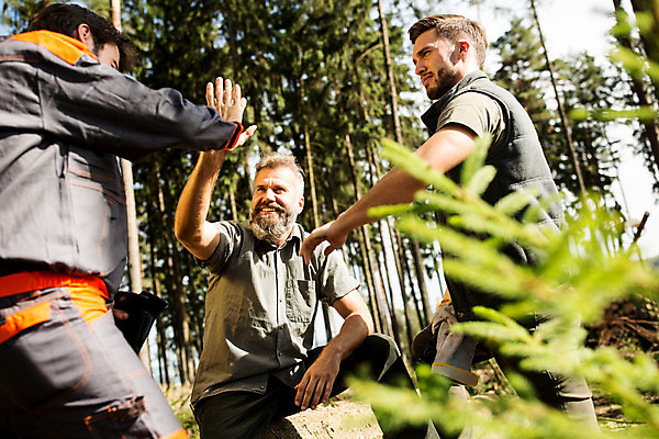 포토 JPG 주간 서양인 나무 응시 남자 로우앵글 40대 중년 대화 서기 미소 사람 앉기 손짓 상반신 20대 성인 야외 옆모습 세명 30대 숲 하이파이브 체코 손모으기 벌목 벌목작업 임업 성인남자만 국내포토 자연요소 외국인 식물 시선 유럽 산업 뷰포인트 모션 표정 말하기 청년 장년 남자만 성인만 파일형식