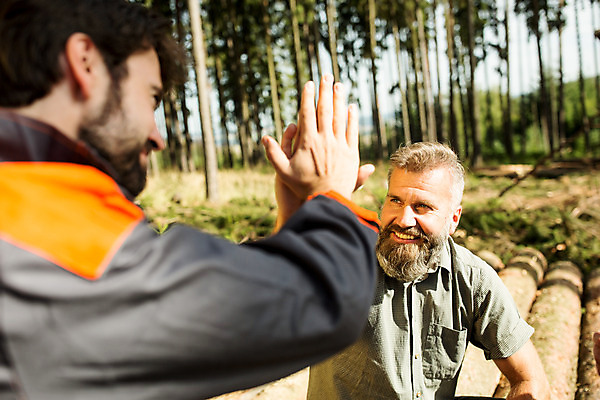 포토 JPG 주간 서양인 나무 응시 남자 40대 중년 서기 미소 사람 앉기 손짓 상반신 성인 야외 두명 앞모습 뒷모습 30대 숲 하이파이브 체코 손모으기 벌목 벌목작업 임업 성인남자만 국내포토 자연요소 외국인 식물 시선 유럽 산업 뷰포인트 모션 표정 장년 남자만 성인만 파일형식