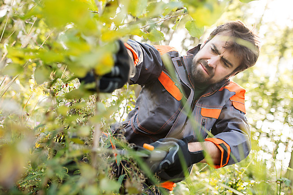 포토 JPG 주간 서양인 외국인 나무 손 남자 로우앵글 장갑 한명 서기 들기 사람 상반신 성인 야외 앞모습 30대 나뭇가지 풀 칼 숲 자르기 체코 낫 벌목 벌목작업 임업 성인남자한명만 국내포토 자연요소 식물 1 잡화 유럽 산업 뷰포인트 모션 인종 신체부위 장년 남자한명만 성인남자만 파일형식