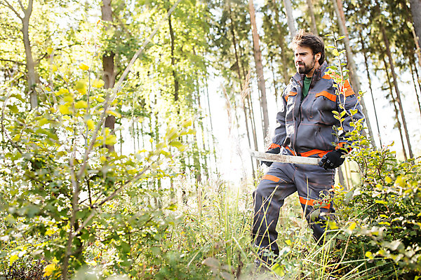 포토 JPG 주간 전신 서양인 외국인 나무 손 남자 장갑 한명 서기 사람 성인 야외 옆모습 30대 나뭇가지 칼 숲 체코 낫 벌목 벌목작업 임업 성인남자한명만 국내포토 자연요소 식물 1 잡화 유럽 산업 뷰포인트 모션 인종 신체부위 장년 남자한명만 성인남자만 파일형식