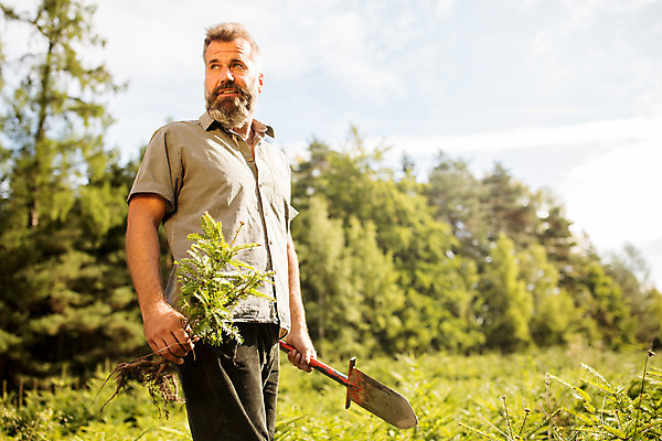 포토 JPG 주간 서양인 나무 응시 남자 로우앵글 40대 중년 한명 서기 들기 사람 성인 야외 옆모습 올려보기 숲 삽 뿌리 체코 벌목 벌목작업 임업 중년남자한명만 국내포토 자연요소 외국인 식물 1 시선 유럽 산업 뷰포인트 모션 남자한명만 중년남자만 파일형식