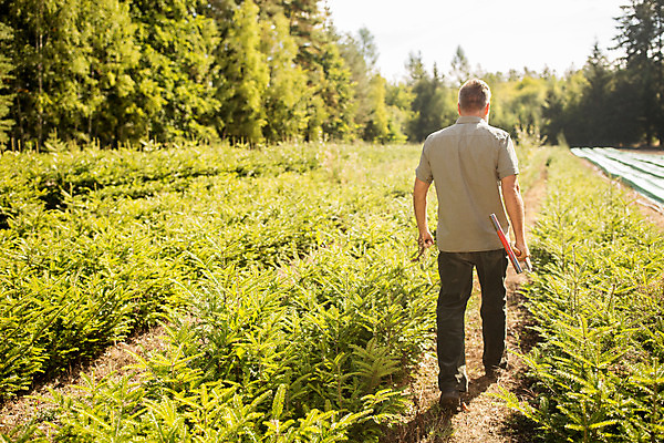 포토 JPG 주간 전신 서양인 나무 남자 40대 중년 한명 서기 들기 사람 성인 야외 뒷모습 걷기 숲 삽 뿌리 체코 벌목 벌목작업 임업 중년남자한명만 국내포토 자연요소 외국인 식물 1 유럽 산업 뷰포인트 모션 남자한명만 중년남자만 파일형식