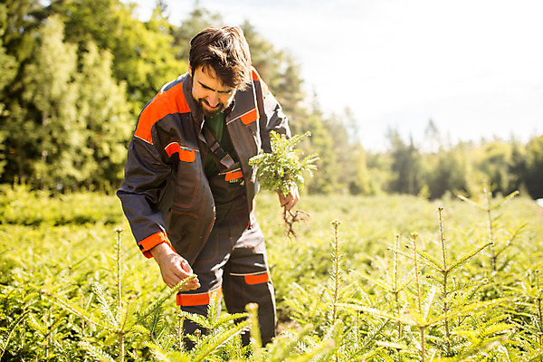포토 JPG 주간 서양인 외국인 나무 응시 남자 한명 서기 들기 사람 상반신 성인 야외 30대 숲 삽 뿌리 체코 벌목 벌목작업 임업 성인남자한명만 국내포토 자연요소 식물 1 시선 유럽 산업 모션 인종 장년 남자한명만 성인남자만 파일형식