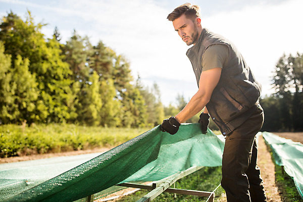 포토 JPG 주간 서양인 나무 응시 남자 한명 서기 들기 사람 상반신 20대 성인 야외 옆모습 숲 천막 덮기 체코 벌목 벌목작업 임업 성인남자한명만 국내포토 자연요소 외국인 식물 1 시선 유럽 산업 뷰포인트 모션 청년 남자한명만 성인남자만 파일형식