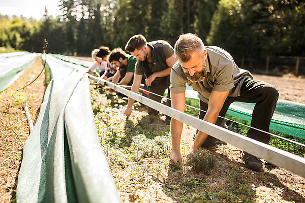포토 JPG 주간 전신 서양인 나무 손 응시 남자 40대 중년 사람 앉기 20대 성인 야외 세명 30대 잡초 숲 체코 벌목 벌목작업 뽑기 임업 성인남자만 국내포토 자연요소 외국인 식물 시선 유럽 산업 모션 청년 신체부위 장년 남자만 성인만 파일형식