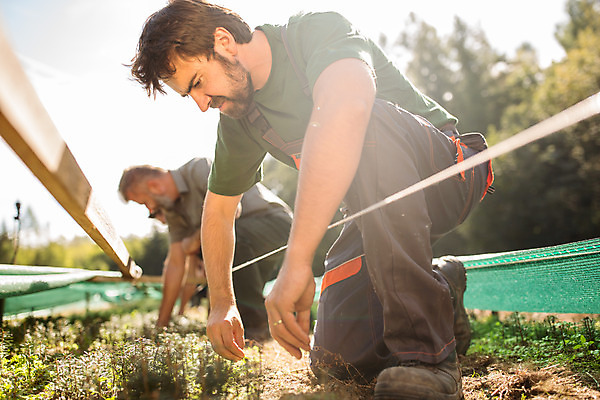 포토 JPG 주간 전신 서양인 나무 손 응시 남자 40대 중년 사람 앉기 20대 성인 야외 세명 30대 잡초 숲 체코 벌목 벌목작업 뽑기 임업 성인남자만 국내포토 자연요소 외국인 식물 시선 유럽 산업 모션 청년 신체부위 장년 남자만 성인만 파일형식