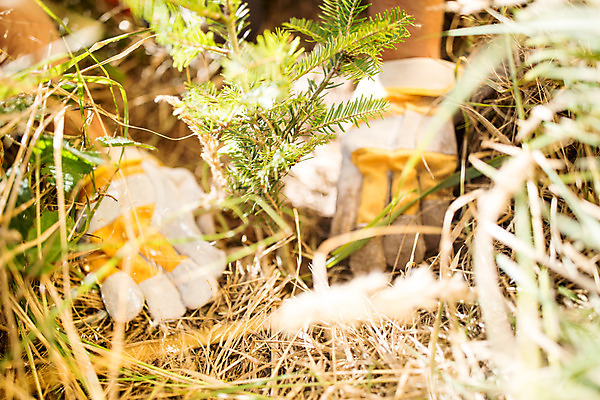 포토 JPG 주간 서양인 외국인 나무 손 남자 한명 들기 사람 앉기 성인 야외 30대 숲 뿌리 체코 나무심기 나무뿌리 벌목 벌목작업 임업 성인남자한명만 국내포토 자연요소 식물 1 유럽 산업 모션 인종 신체부위 장년 심기 남자한명만 성인남자만 파일형식