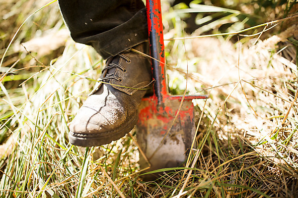 포토 JPG 주간 서양인 나무 남자 40대 중년 발 한명 서기 사람 성인 야외 신체부위 숲 삽 체코 밟기 땅파기 벌목 벌목작업 임업 중년남자한명만 국내포토 자연요소 외국인 식물 1 유럽 산업 모션 남자한명만 중년남자만 파일형식